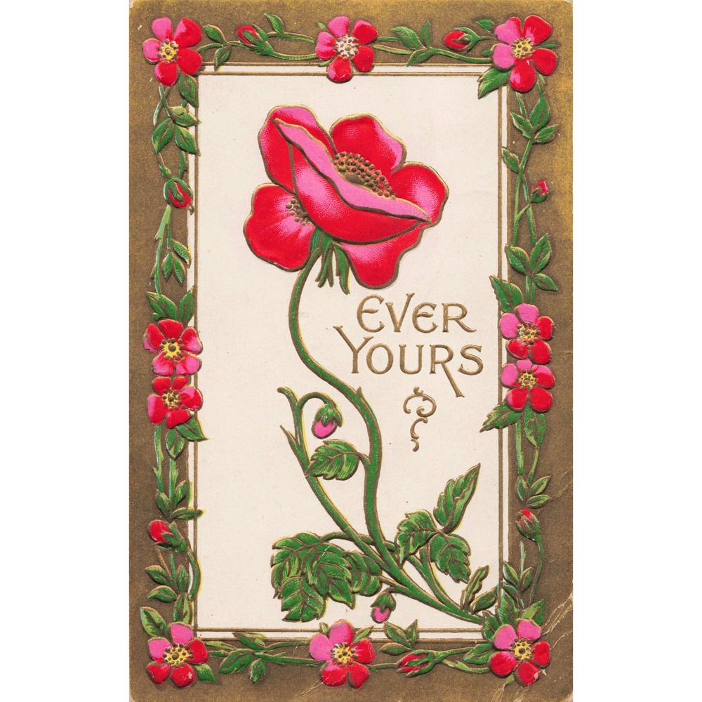 Ever Yours Red Poppy Flower Embossed Postcard Antique Floral Greeting c1910